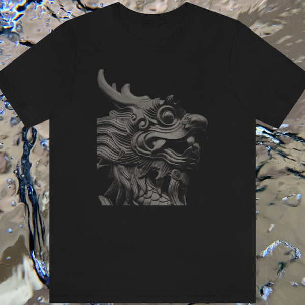 GRAY DRAGON BLACK TEE JERSEY UNISEX TSHIRT